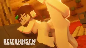 Minecraft Porn Animation Set Of