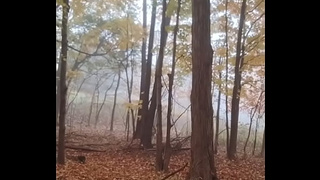 the other jolly good yellow mix of for free with yellow gloves two