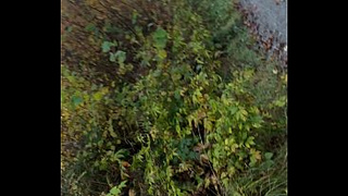 PornoMR - nearly got caught in public