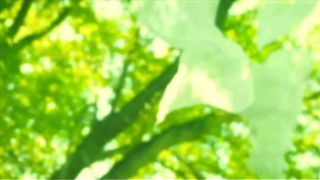 Ana Foxxx Rails Kenna James With Her Large Green Dildo - Wicked Porn Cosplay Parody