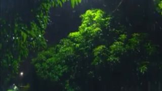 Relaxing Rain After Porn