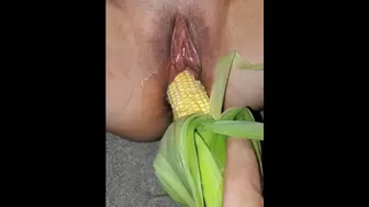 Getting Corn Nailed in my Wet Orgasm Gaping Vagina